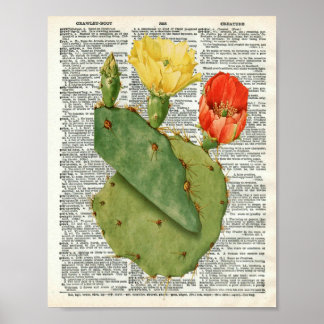 Affiche Vintage Cactus Botanical Art on Dictionary Page 11