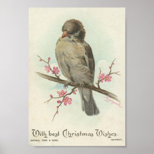 Affiche Vintage Christmas Sparrow