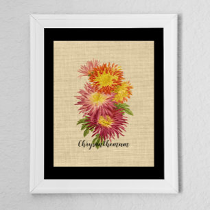 Affiche Vintage Chrysanthemum Botanique