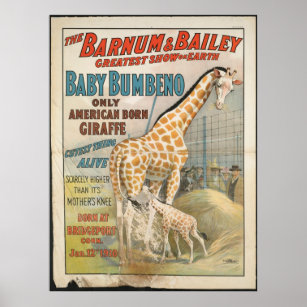 Affiche Vintage : cirque Barnum & Bailey -