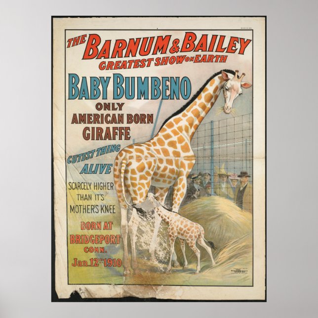 Affiche Vintage : cirque Barnum & Bailey - (Devant)