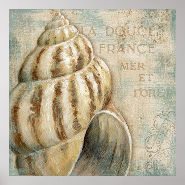 Affiche Vintage Conch Shell (Devant)