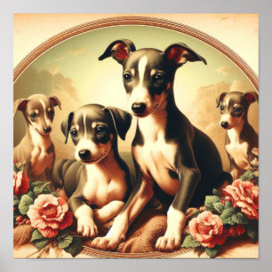Affiche Vintage Cute Italien Greyhound Peinture