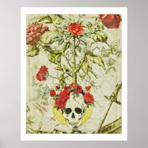 Affiche vintage de crâne et de rosier