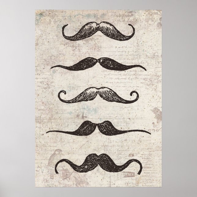 Affiche vintage de moustaches (Devant)
