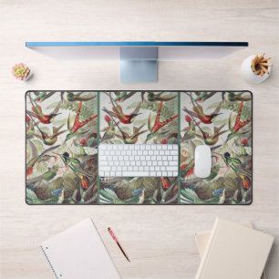 Affiche vintage d'Ernst Haeckel sur les colibris c