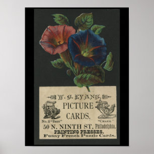 Affiche vintage d'impression typographique de W.C.
