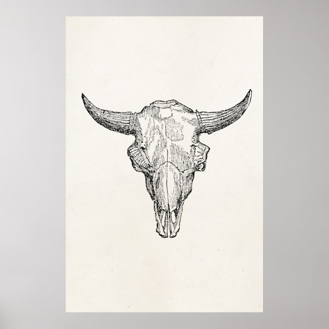 Affiche Vintage European Bison Skull Antique Template (Devant)