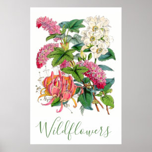 Affiche Vintage Fleur sauvage Rustique Cottagecore Floral