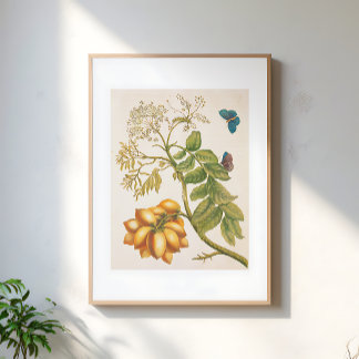 Affiche Vintage Fruit Plant With Butterflies Art