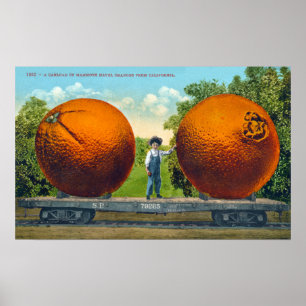 Affiche Vintage Giant California Oranges Postcard