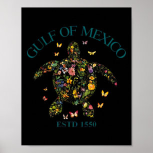 Affiche Vintage Golfe Du Mexique Est 1550 Tortue Florale