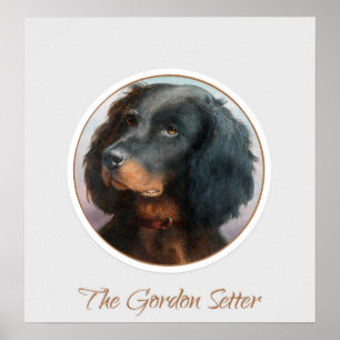 Affiche Vintage Gordon Setter