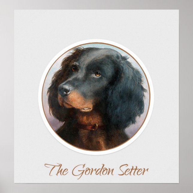 Affiche Vintage Gordon Setter (Devant)