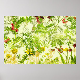 Affiche Vintage Green Woodland Botanique Feuille Fleur sau