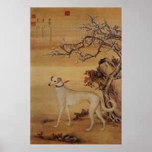 Affiche Vintage Greyhound Blanc Sous les Fleurs
