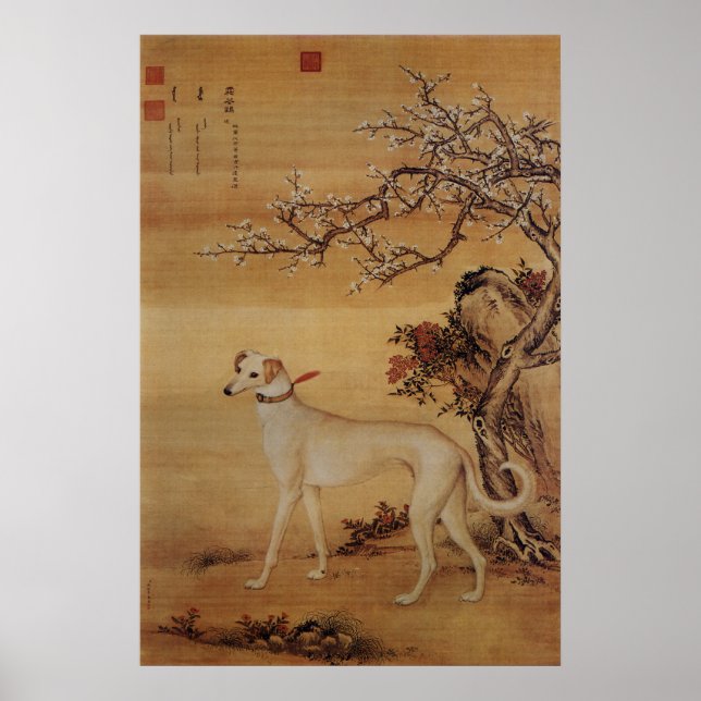 Affiche Vintage Greyhound Blanc Sous les Fleurs (Devant)