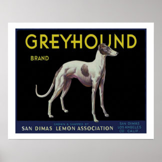Affiche Vintage Greyhound Lemon Étiquette vers 1920