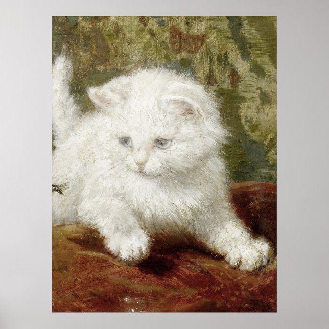 Affiche Vintage Henriette Ronner-Knip Curiousity (Devant)