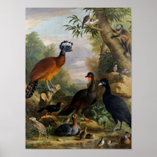 Affiche Vintage Jakob Bogdani Birds dans un paysage