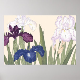 Affiche Vintage japonais Floral Art Purple Iris Fleurs