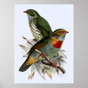 Affiche Vintage John Keulemans