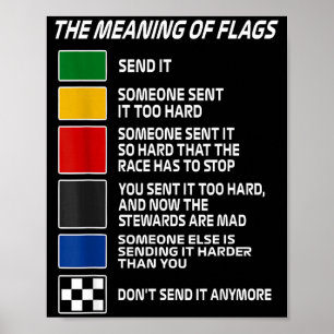 Affiche Vintage La Signification Des Drapeaux De Course Mo