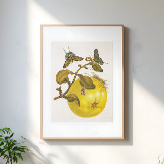 Affiche Vintage Lemon Plant With Butterflies Yellow Art