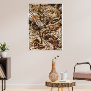 Affiche Vintage Lizard Animals by Ernst Haeckel 