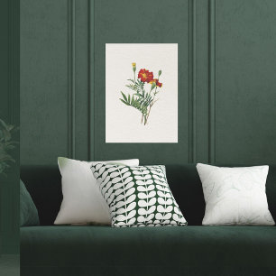 Affiche Vintage look Botanique Marigolds