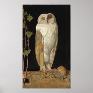 Affiche Vintage Owl Image