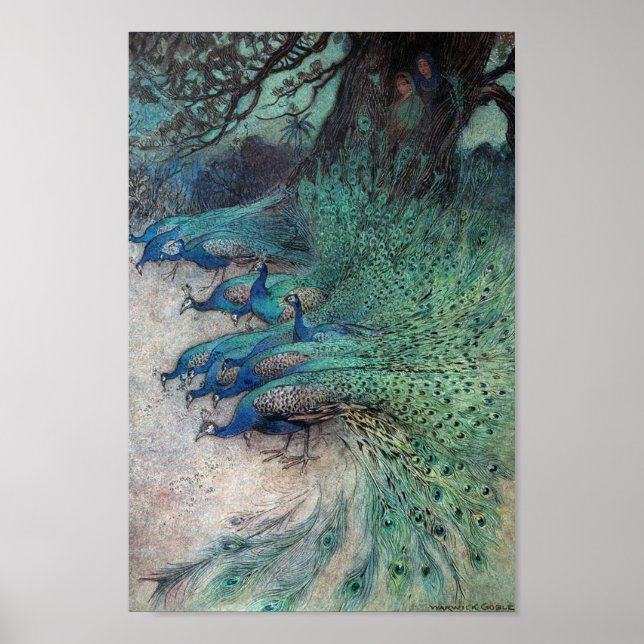 Affiche Vintage Peacock Book Illustration (Devant)