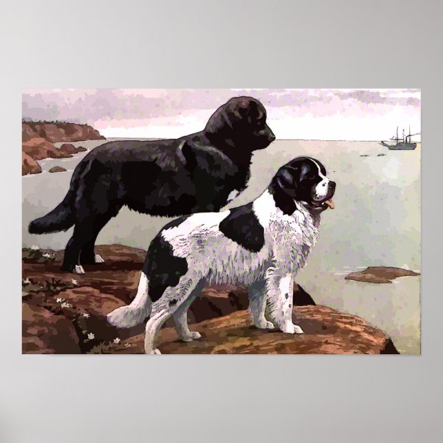 Affiche Vintage Peint Terre-Neuve toile Imprimer (Devant)