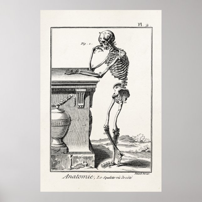 Affiche Vintage pensée Squelette humain Médicale Anatomie (Devant)