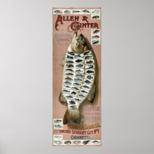Affiche Vintage période victorienne 50 poissons