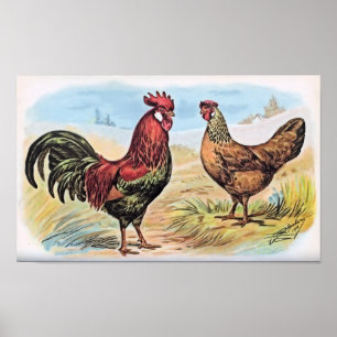 Affiche Vintage poulet imprimé coq et poule