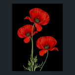 Affiche Vintage Red Poppies Botanique Imprimer<br><div class="desc">Vibrant pavot rouge adapté d'une illustration botanique vintage.</div>