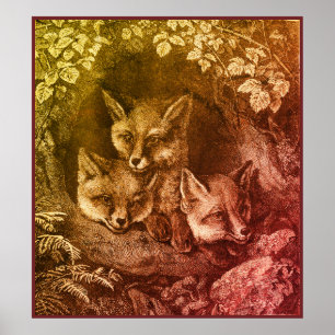 Affiche Vintage renard de bébé bois renard intelligent ren