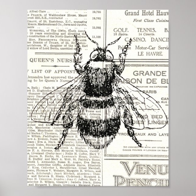 Affiche Vintage Retro Bee Newsprint noir et blanc (Devant)