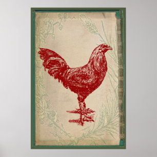 Affiche Vintage Rooster Rouge Chic Grunge Poulet