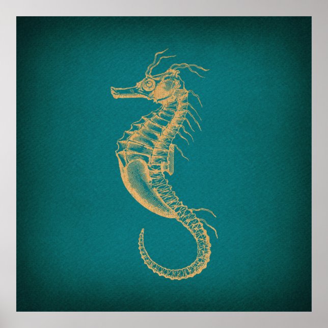 Affiche Vintage Seahorse (Devant)