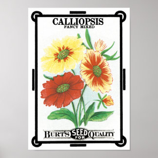 Affiche Vintage Seed Packet Art, Calliopsis Garden Flowers