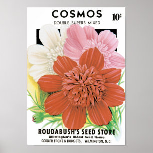Affiche Vintage Seed Packet Art, Cosmos Garden Flowers
