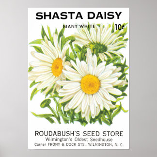 Affiche Vintage Seed Packet Art, Shasta Daisy Flowers