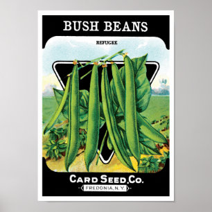 Affiche Vintage Seed Packet Étiquette Art, Bush Bean Légum