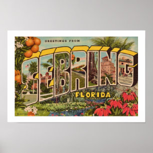 Affiche Vintage Setake Florida Grey Imprimer