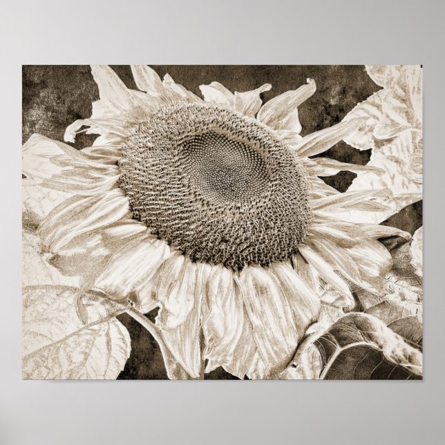 Affiche Vintage Sunflower Sepia Art Découpage Brown (Devant)