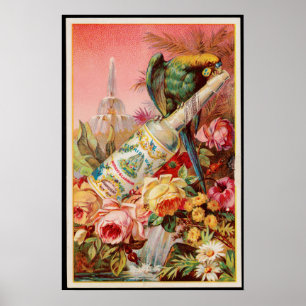Affiche Vintage Tropical Birds Florida Water Advertisement