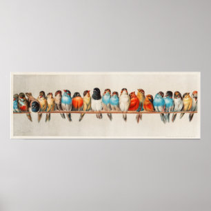 Affiche Vintage Une perche d'oiseaux