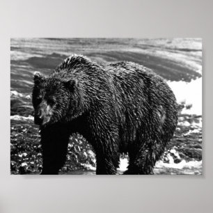 Affiche Vintage USA Alaska brun